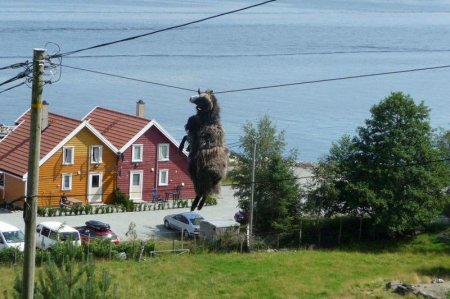 Загадка дня (3 фото)