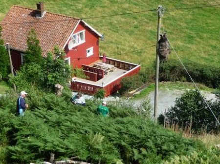 Загадка дня (3 фото)