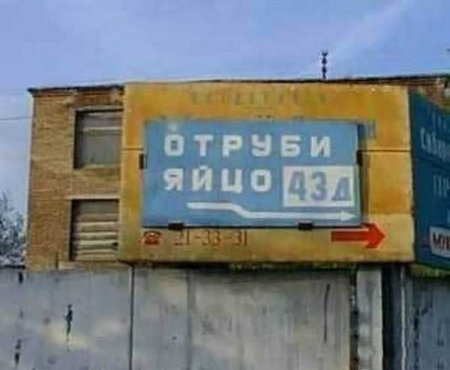 Экскурсия по Чимкенту (19 фото)