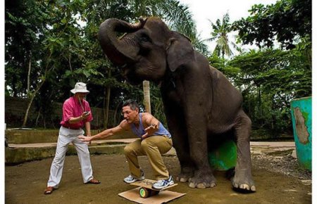 Парень, который ставит рекорды (15 фото)