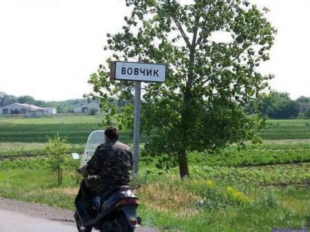 Эх, дороги (56 фото)