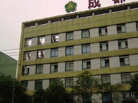 Фальшивое здание в Китае (5 фото)