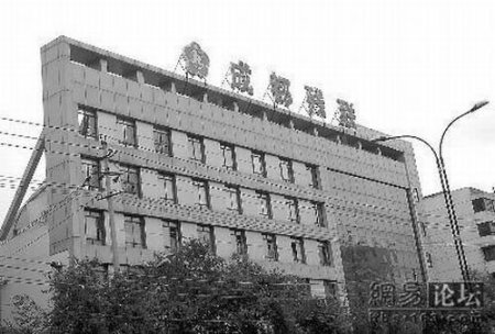 Фальшивое здание в Китае (5 фото)