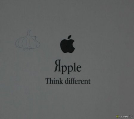 Самые тупые запросы в Яндексе