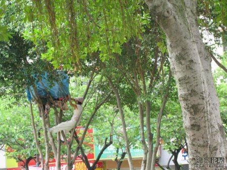 Непонятная штука (3 фото)