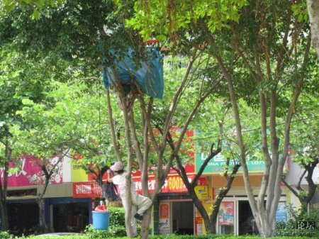 Непонятная штука (3 фото)