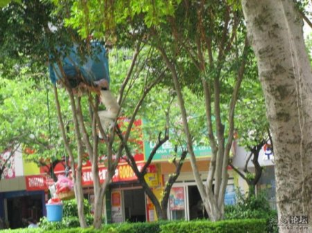 Непонятная штука (3 фото)