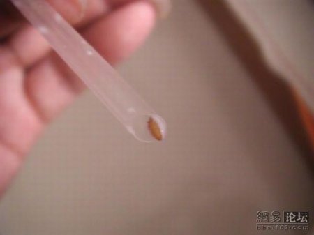 Китайское молоко не всегда полезно (9 фото)