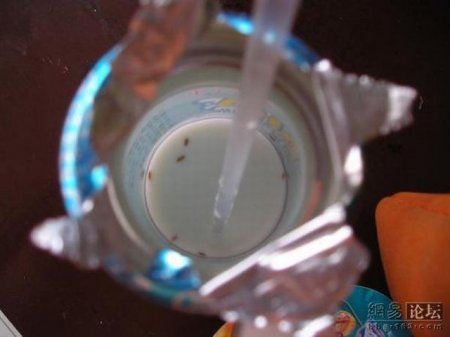 Китайское молоко не всегда полезно (9 фото)