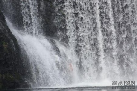 Рисковый парень (16 фото)