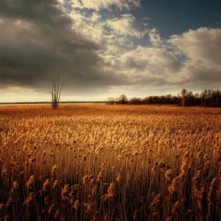 Призрачный город