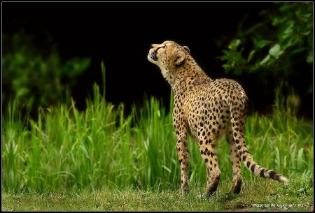 Фотограф Naturephoto Monique