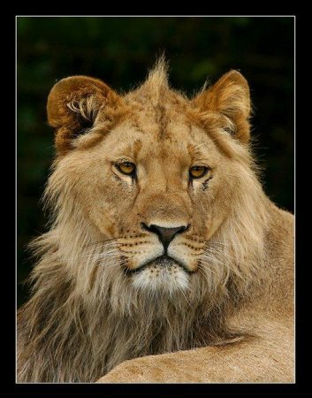 Фотограф Naturephoto Monique