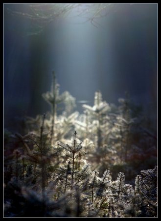 Фотограф Naturephoto Monique