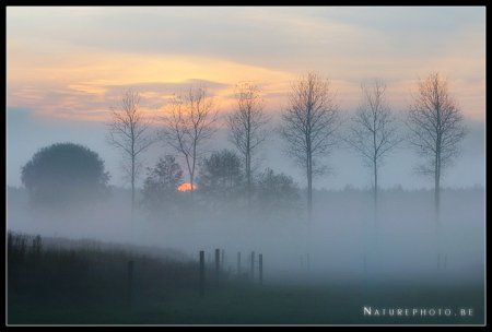 Фотограф Naturephoto Monique