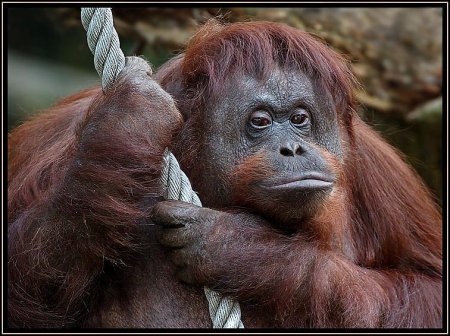 Фотограф Naturephoto Monique