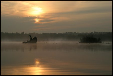Фотограф Naturephoto Monique