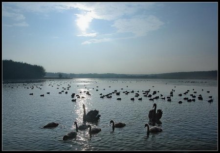 Фотограф Naturephoto Monique