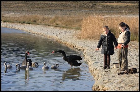 Фотограф Naturephoto Monique
