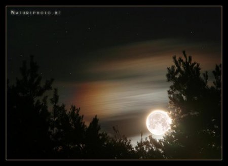 Фотограф Naturephoto Monique