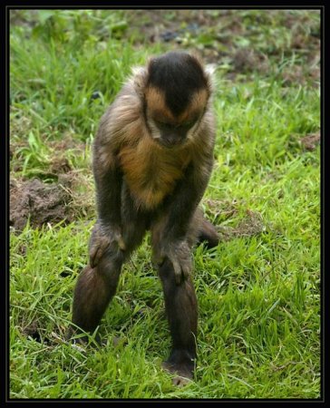 Фотограф Naturephoto Monique