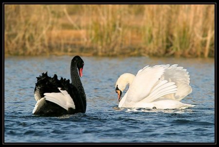 Фотограф Naturephoto Monique