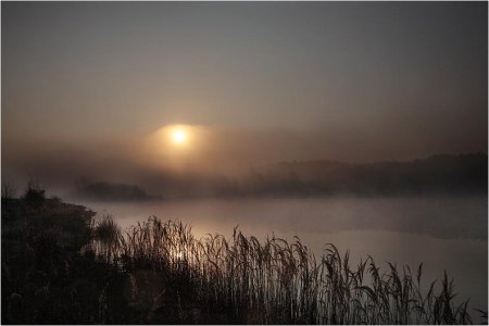 Фотограф Naturephoto Monique