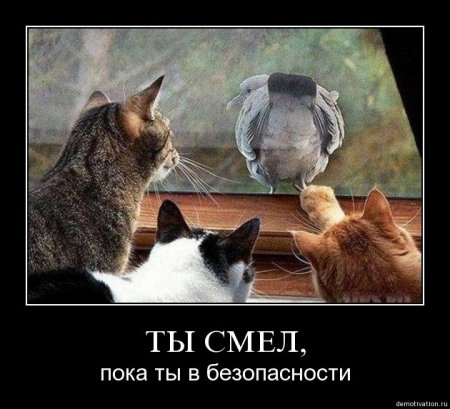 Демотиваторы (26 фото)