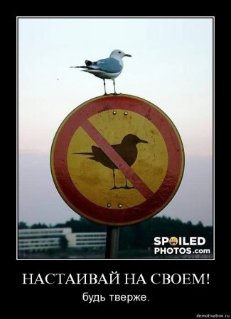 Демотиваторы (26 фото)