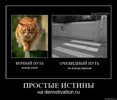 Демотиваторы (26 фото)