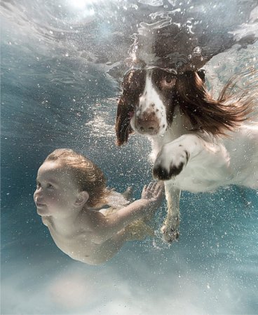 Художества от Zena Holloway`a