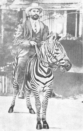 Транспортные животные (10 фото)