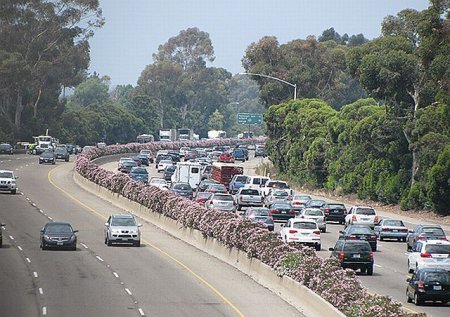 Хорошо приземлился (10 фото)
