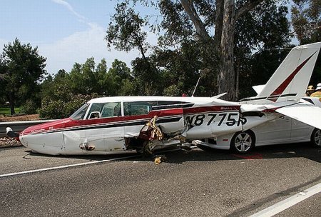 Хорошо приземлился (10 фото)