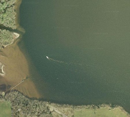 Лох-Несское чудовище вернулось (4 фото)