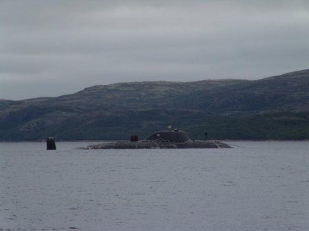 Подводный флот (20 фото)