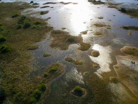 Отличные пейзажи сверху (20 фото)