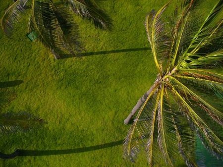 Отличные пейзажи сверху (20 фото)