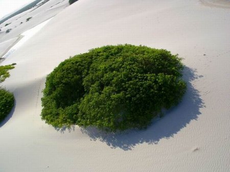 Отличные пейзажи сверху (20 фото)