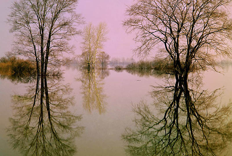 Современные мастера фотографии: Вадим Гиппенрейтер
