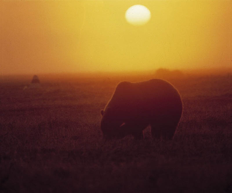 Современные мастера фотографии: Вадим Гиппенрейтер