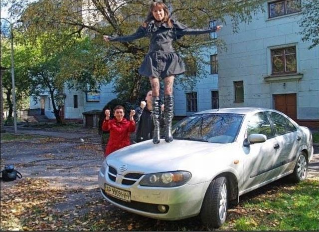 Прикольные картинки