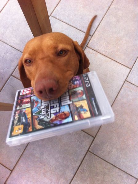 Прикольные картинки