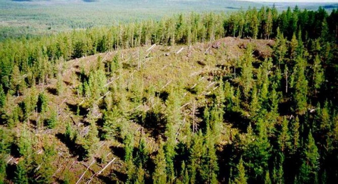 5 самых таинственных загадок современной истории