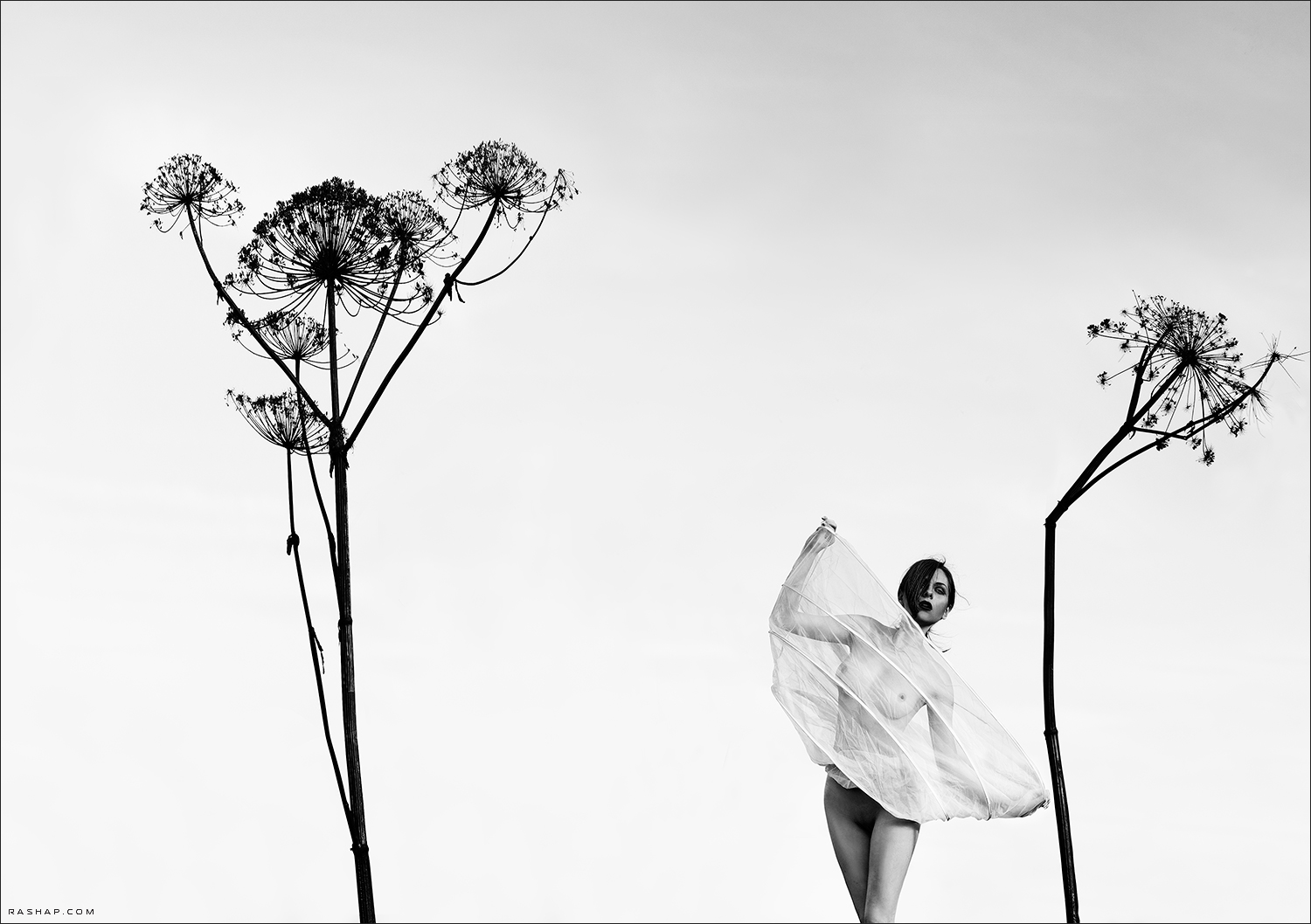 Обнаженные девушки в объективе Ильи Рашапа