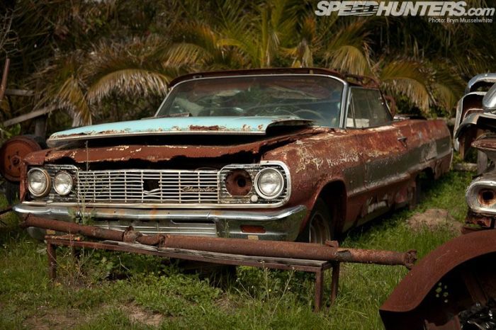 Музей ретро-автомобилей под открытым небом (46 фото)