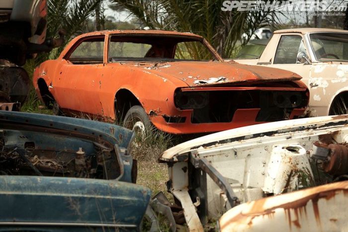 Музей ретро-автомобилей под открытым небом (46 фото)