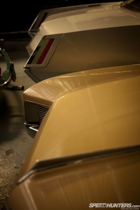 Музей ретро-автомобилей под открытым небом (46 фото)