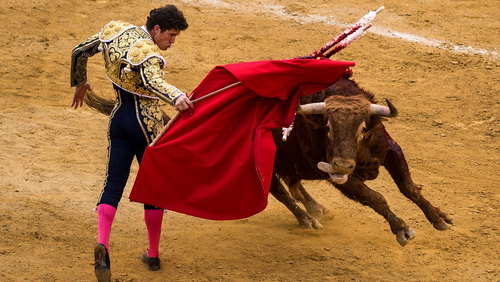 Заблуждения, которые мы усвоили с детства
