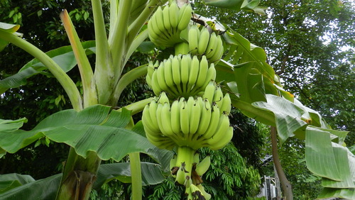 Заблуждения, которые мы усвоили с детства